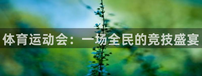 尊龙官网下载平台假的吗是真的吗吗:体育运动会:一场全民的竞技