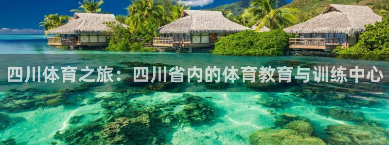 尊龙官网下载平台APP:四川体育之旅:四川省内的体育教育与训