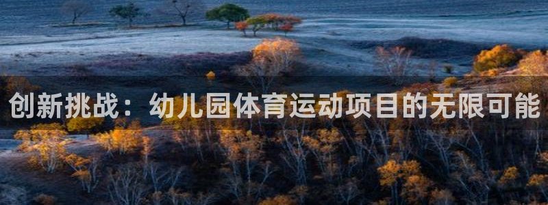 尊龙官方正版app官方:创新挑战:幼儿园体育运动项目的无限可