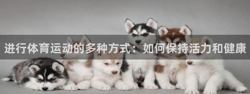 尊龙官方正版app娱乐首页网站大全:进行体育运动的多种方式:
