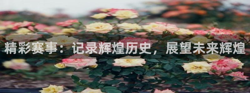 尊龙官网下载平台是正规平台吗安全吗:精彩赛事:记录辉煌历史,